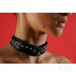 Ошейник декорированный P288 Ошейник декорированный P288