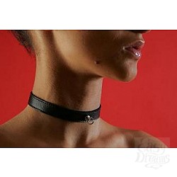 Ошейник на липучке шириной 1,5 см P289 Ошейник на липучке шириной 1,5 см P289