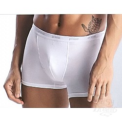  ������� ����������� ����� Primal