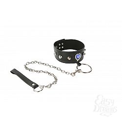 Дизайнерский ошейник с поводком Дизайнерский ошейник с поводком