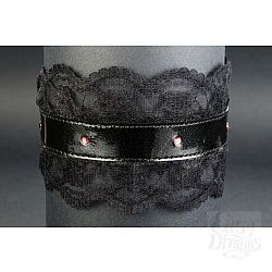  ׸���� �������� �����  ������-25 