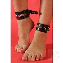  ������ �����