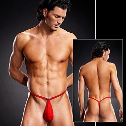    POUCH V-