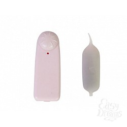  ���� �������������-����