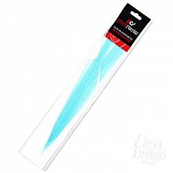  �������� ���������� � ������� CLIP-IN ������ UKRN EF-CH09