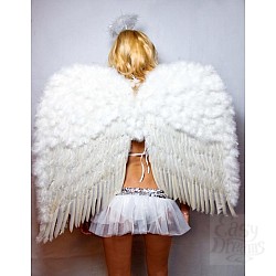  ����������� ������ 02457