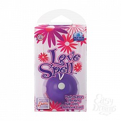  ����� � ��������� LOVE SPELL PURPLE 1326-14BXSE