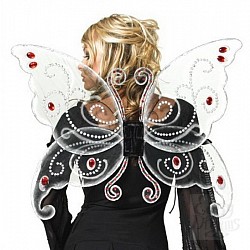 Крылья бабочки Крылья бабочки