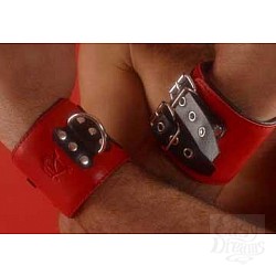  ������ ������� ������� P22ARED