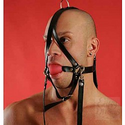  ����� � ������� �� ������� P82A