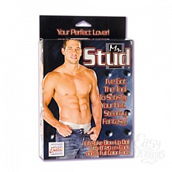  �����-������� Mr. STUD 1923-01 BX SE