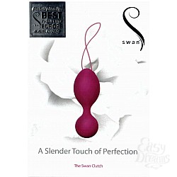  ����������� ������ � ��������� SWAN 50016