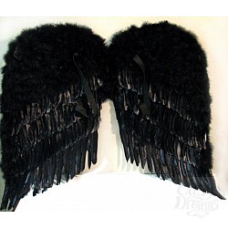  ����������� ������ �������� ���� 80�80