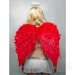  ������ �������� ������� 60�50��