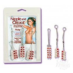  ����� ��� ������� ��� � ������ RUBY 2611-11 CD SE