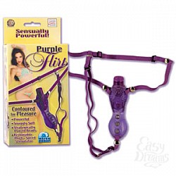  ���������� ������� PURPLE FLIRT 0628-14 BX SE
