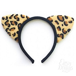  ���� ����� �������