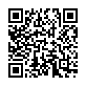    "  HUSTLER    iPhone 4, 4S H45533-11001"  