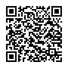 ����������� ����� �������� "����������� ����������� ������ Ben Wa Balls Heavy Weight Silver" �� ��������