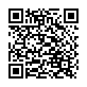    "Nexus Revo Embrace -     , 9.63.3  "  