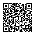    " Lace Front Panel Leggings - Allure, XL-XXL, "  