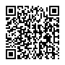    ",   Wetlook Zipper Leggings - Allure, One Size, "  