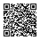 ����������� ����� �������� "���������� �������-����������� ������������� Double Penetrator - 20,9 ��." �� ��������