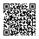    "׸   Leather Collar   "  