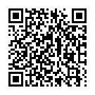    " FF GOLD COLLAR & LEASH 397823PD"  