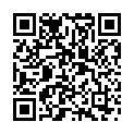    "331417/591/5 / M/L    ,     +"  