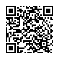    "   ART-Style 012807ru"  