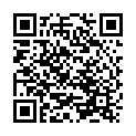    " PLATINUM BENT 3   137704ru"  