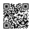 Скопировать адрес страницы "Бита 6071-1" на смартфон