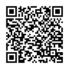    " Hi-Tech Dolphin- Shotsmedia, 22  "  