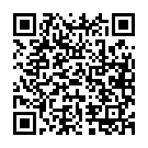    " -   Dolphin Vibe Gold"  