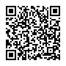    " Flash Blackberry ()"  